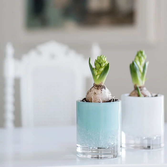 Hurricane Lamp Soda - Bilde 4